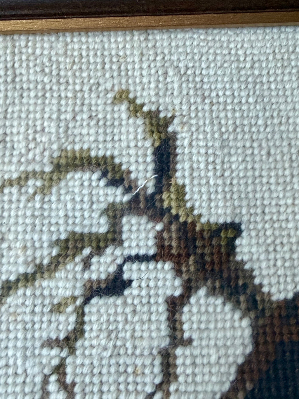Framed Vintage Hand-Stitched Bird Needlepoint