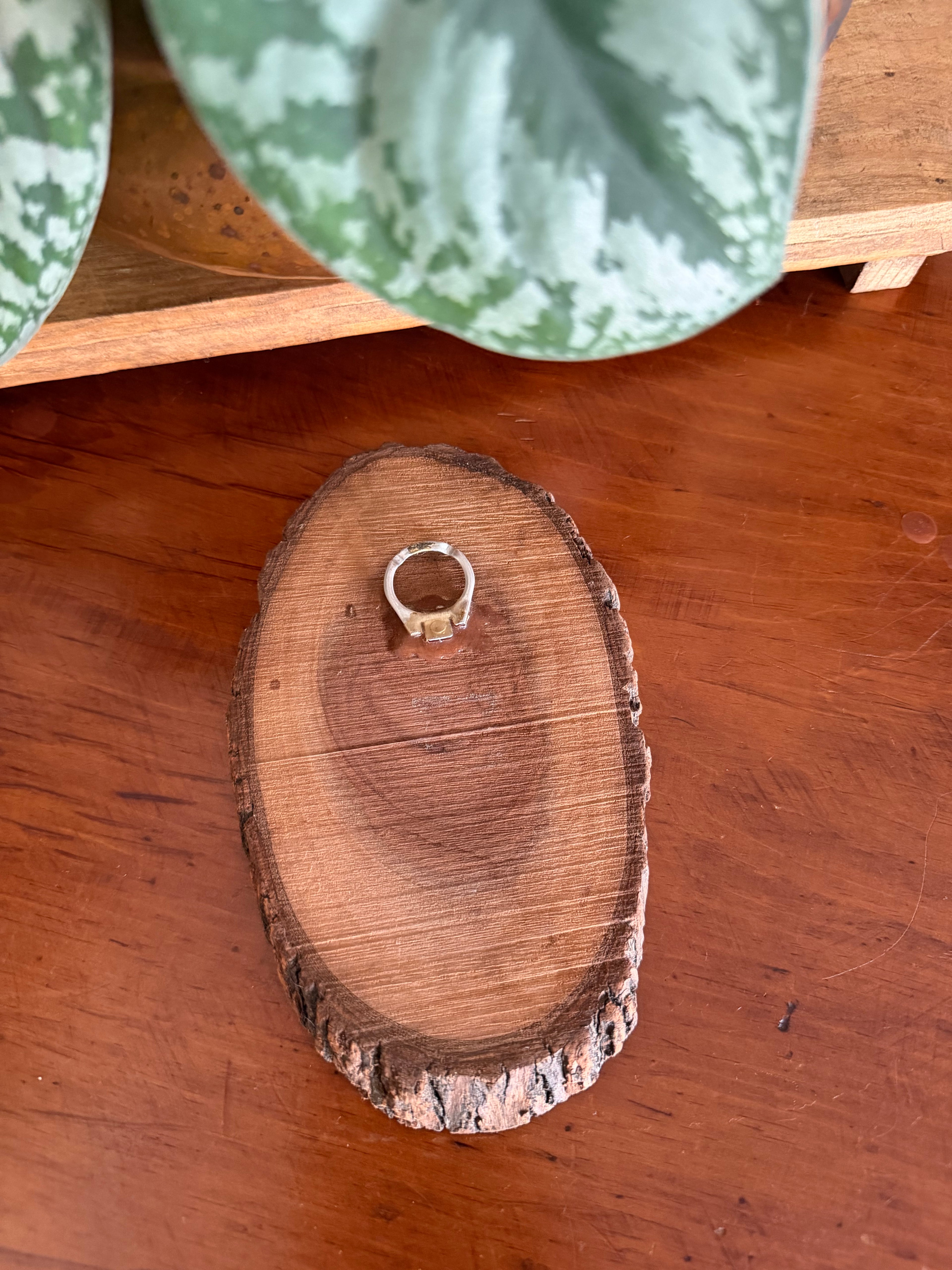 Bird Art Backed on Wood
