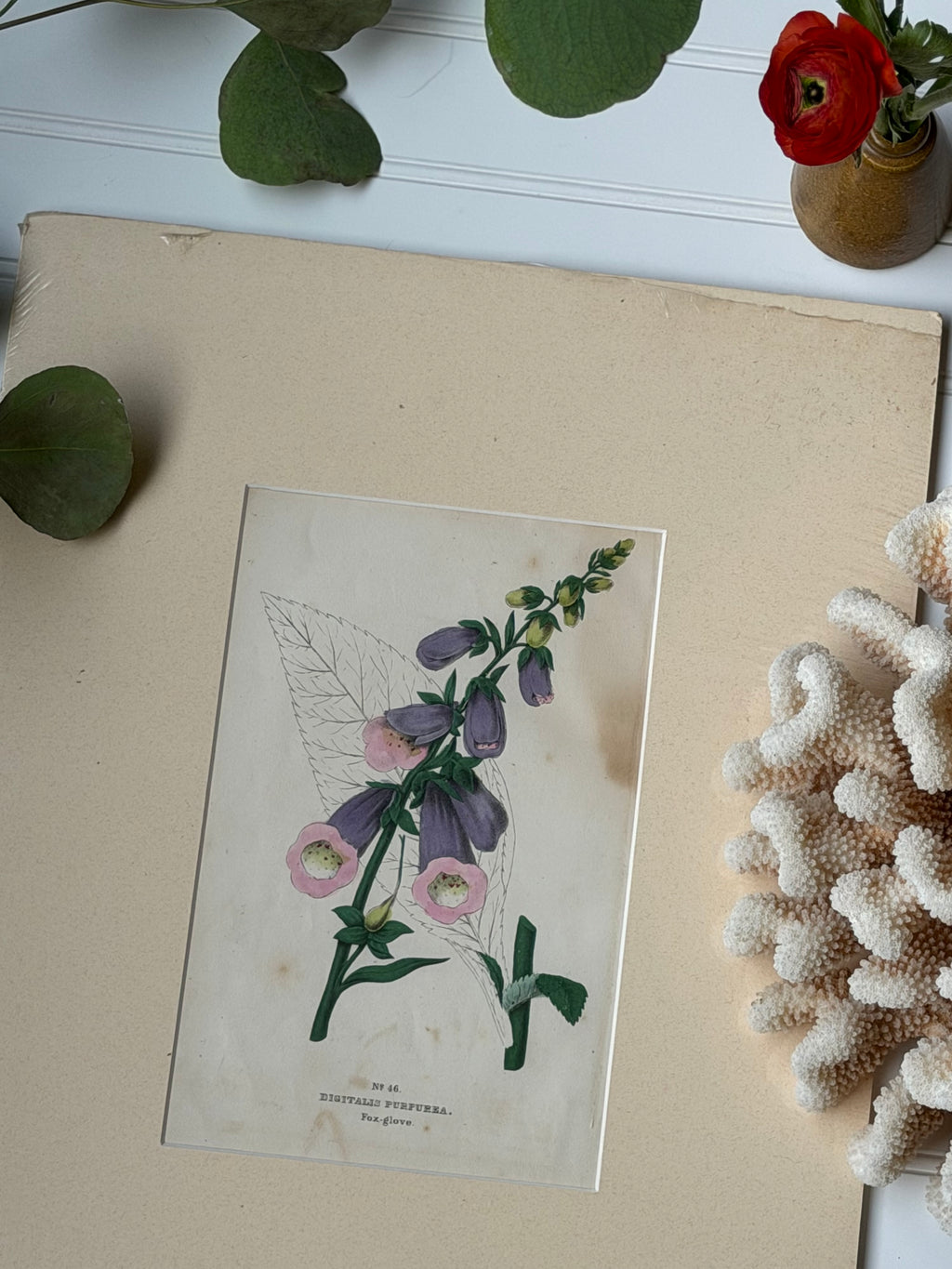 Antique Matted Floral Engraving