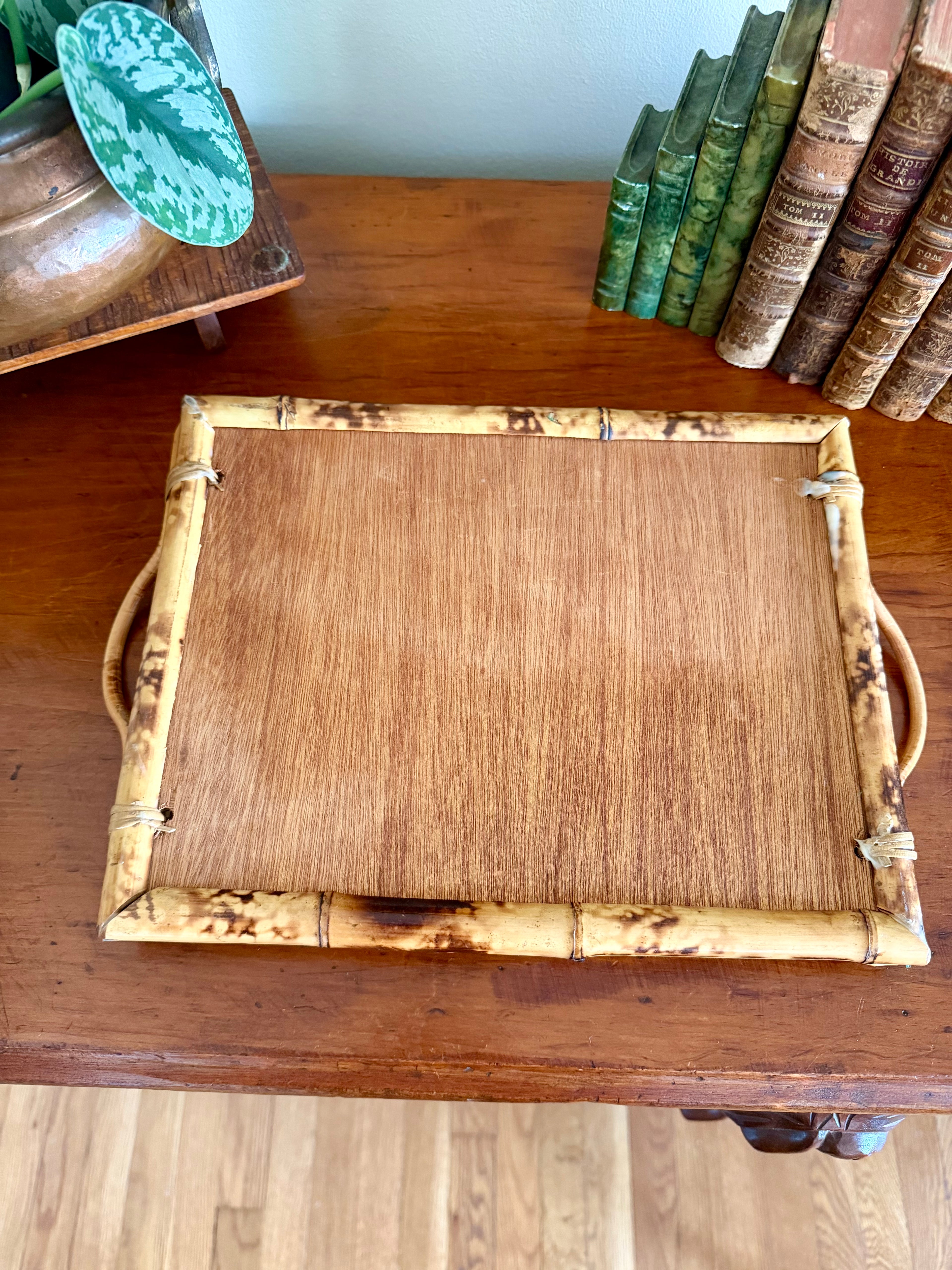 Vintage Tortoise Shell Bamboo Tray