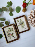Set of 2 Handmade bird Needle Points (1981)