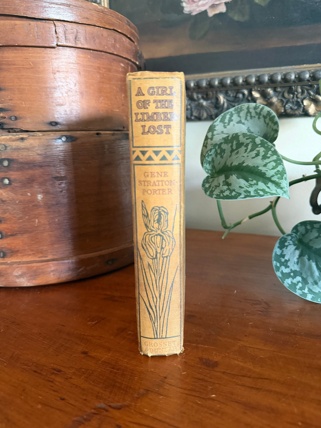 Antique Book: The Girl of the Limberlos