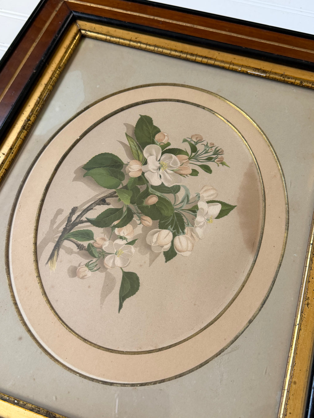 Floral Art in Antique Wood Frames