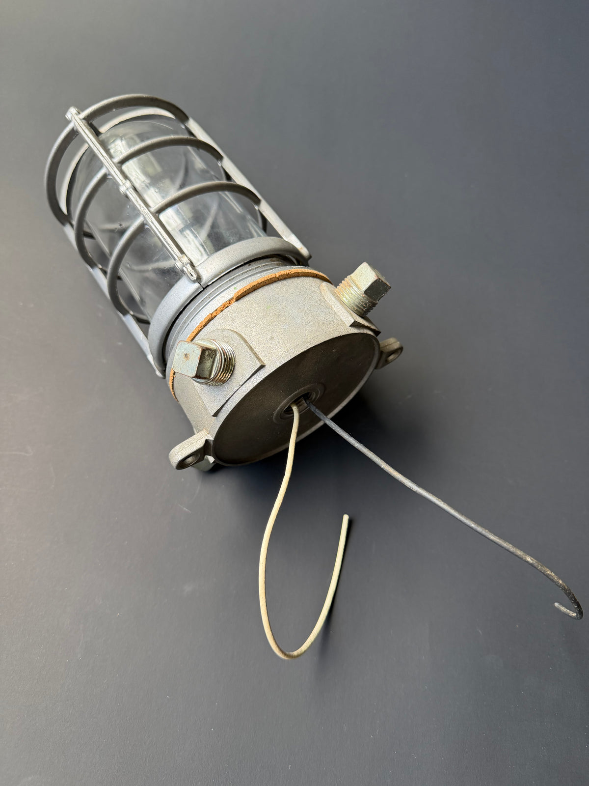 Industrial Cage Light