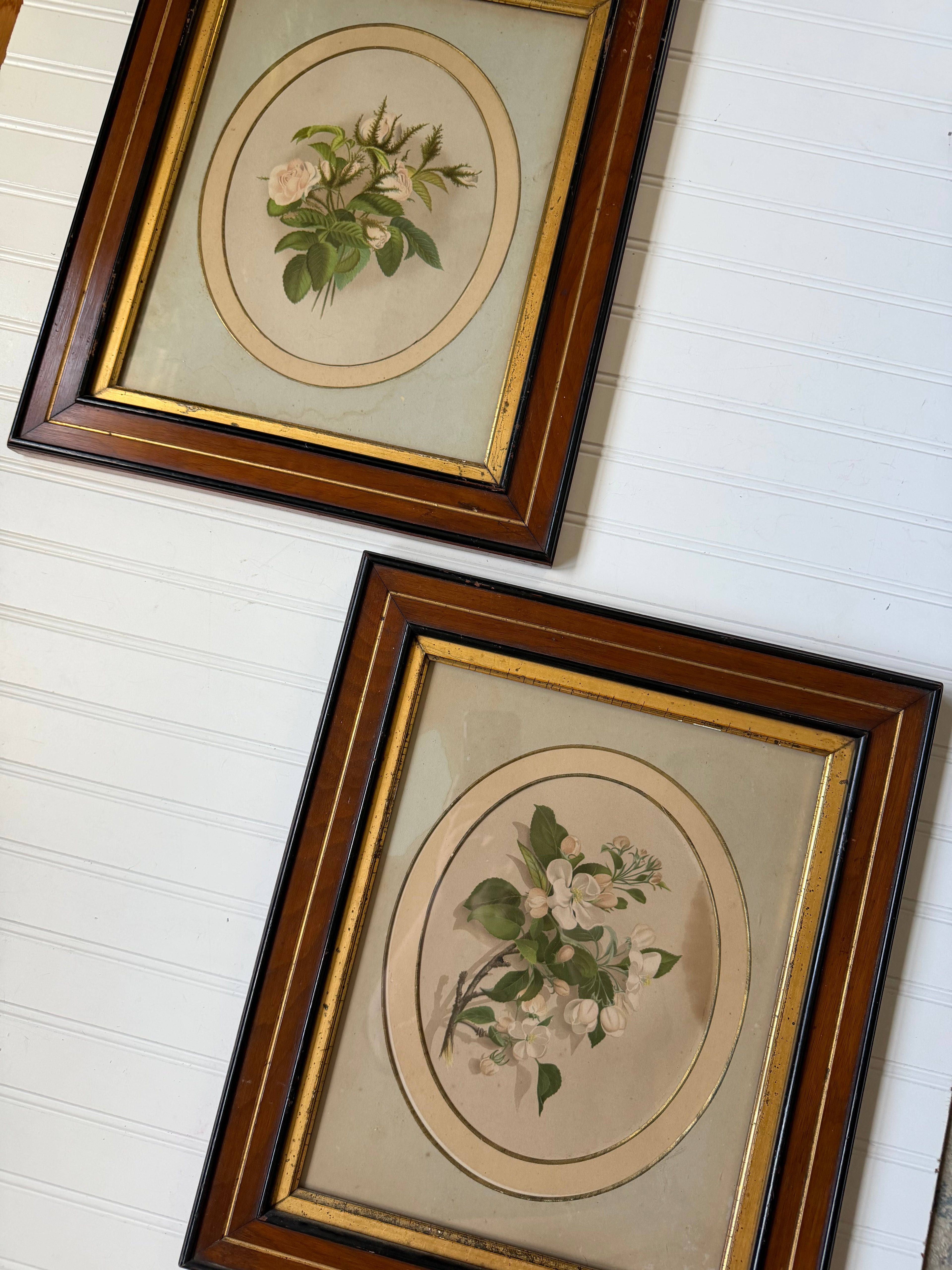 Floral Art in Antique Wood Frames
