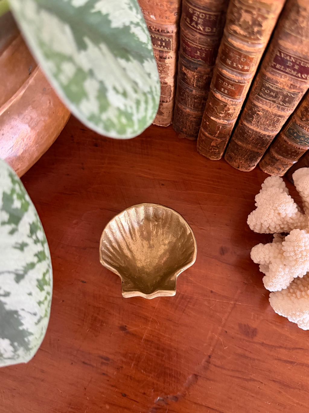 Brass Seashell
