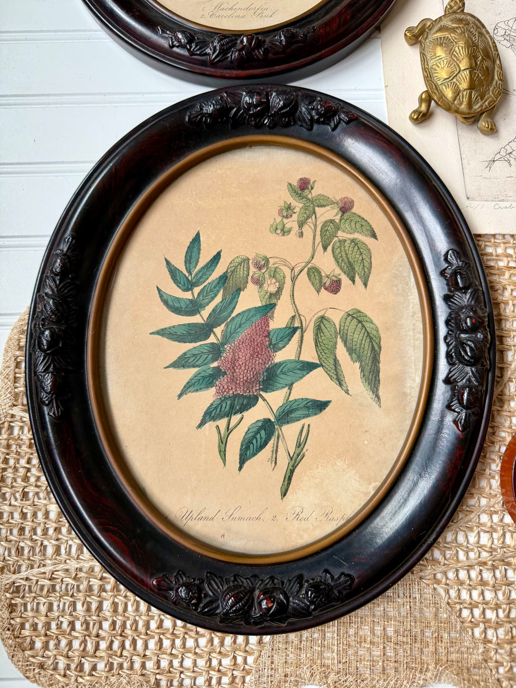 Set of 2 Antique Botanical Prints