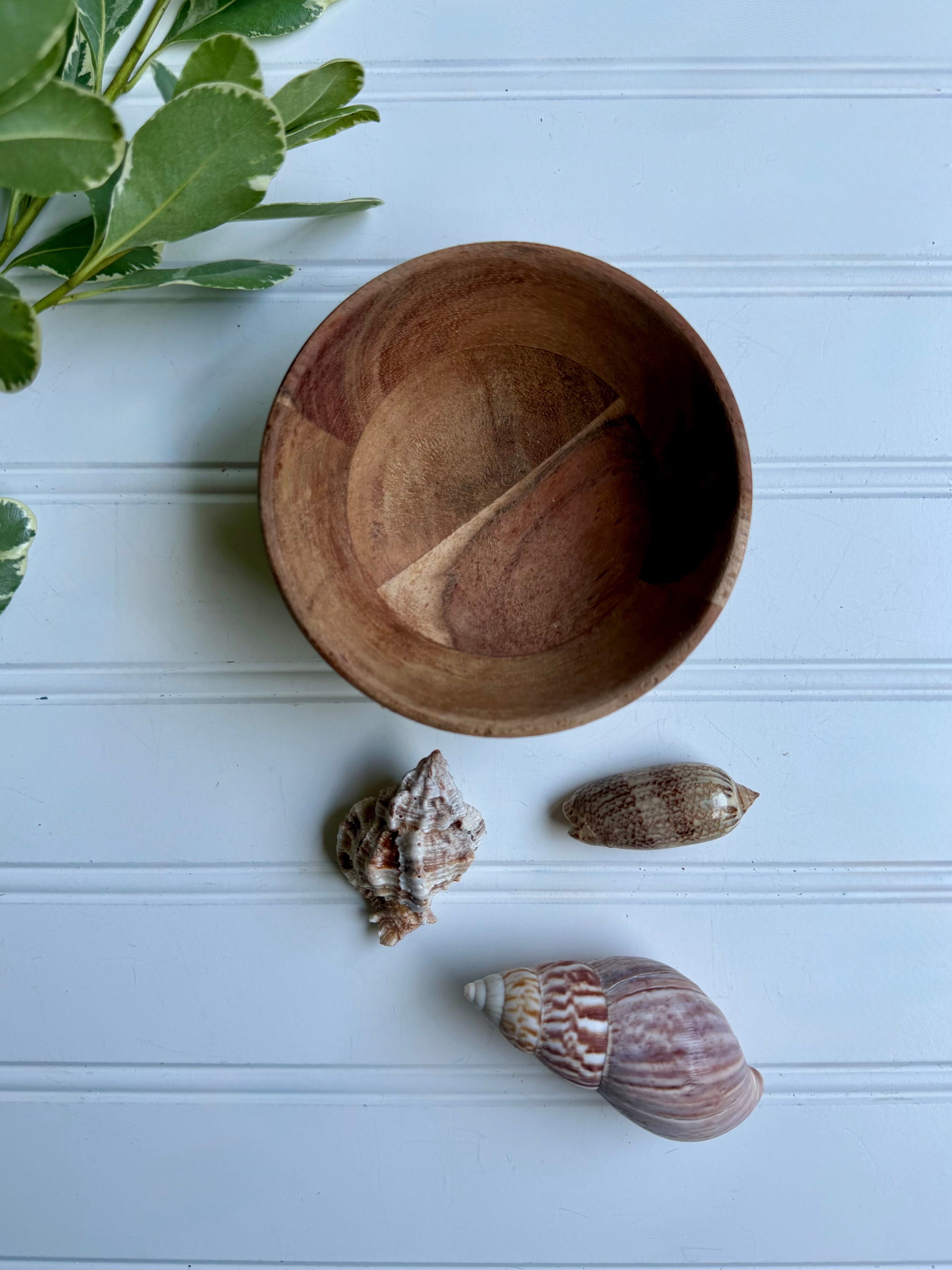 Small Wooden Bowl of Shells 1