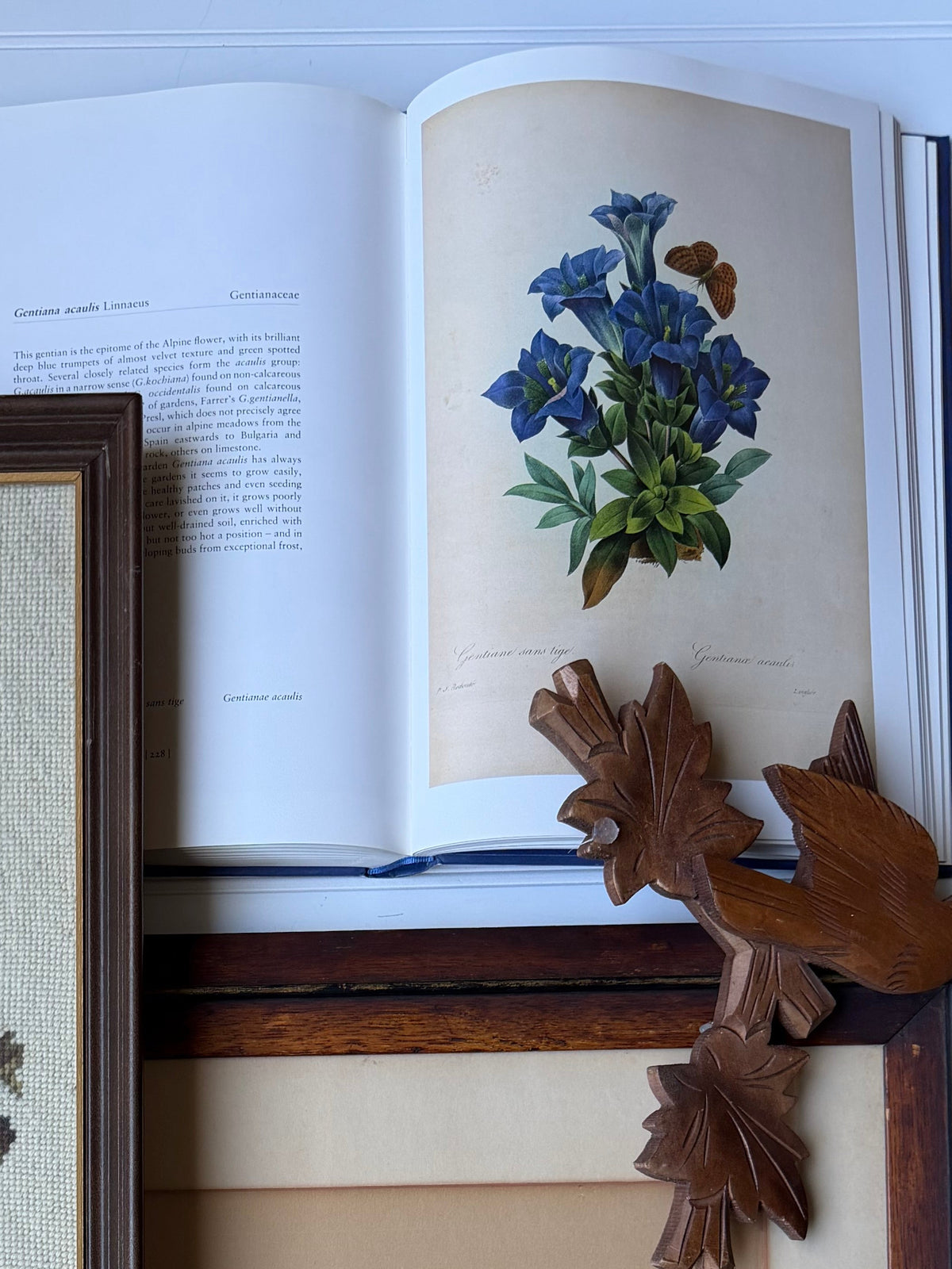 Vintage Book: Redouté's Fairest Flowers (Hardcover)