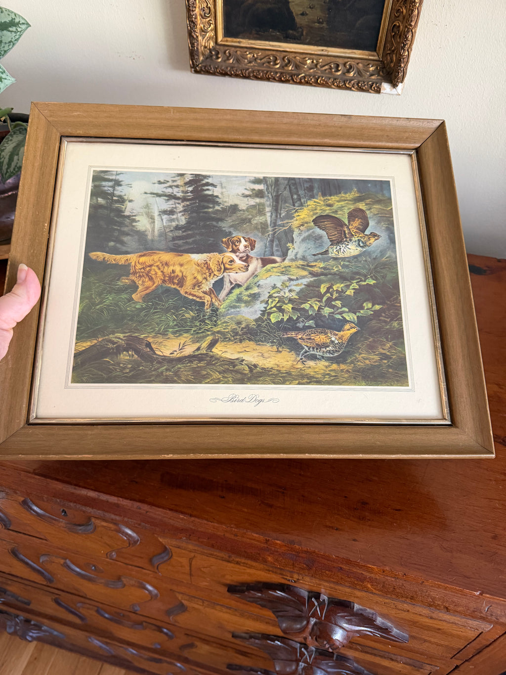“Bird Dog” Framed Print
