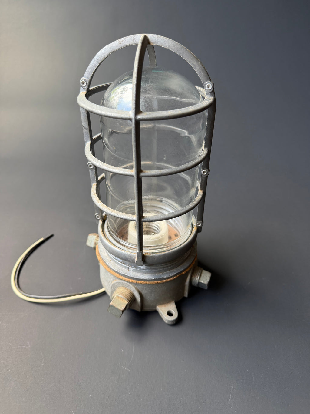 Industrial Cage Light