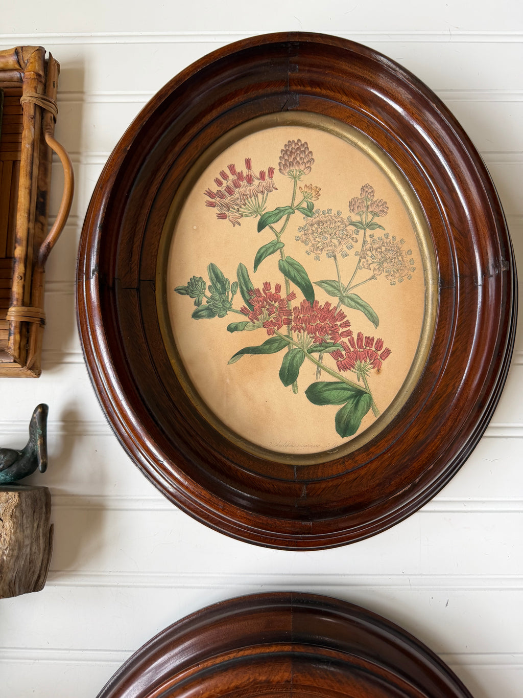 Set of Frames Botanical Art