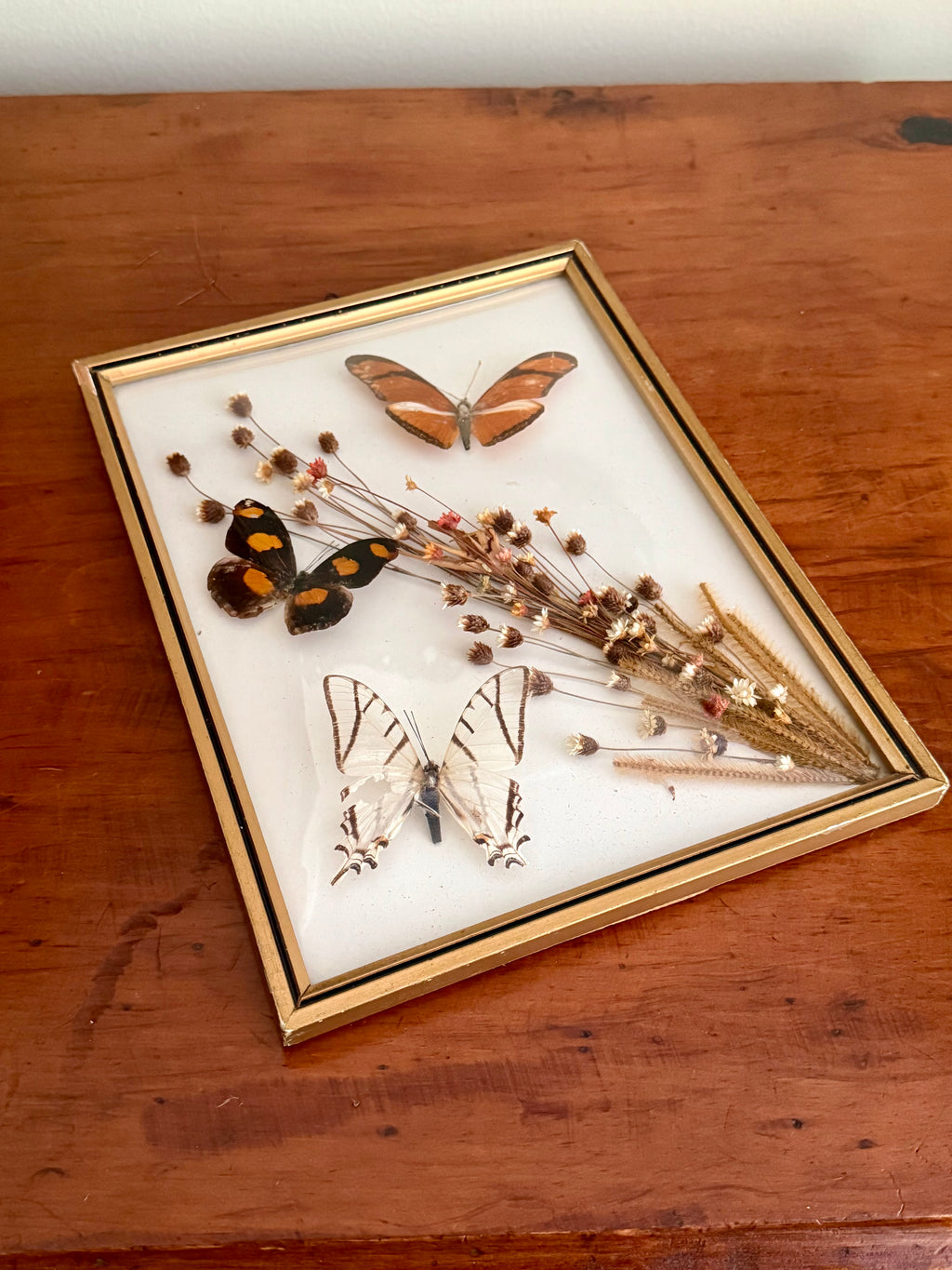 Framed Butterfly Specimens & Dried Florals