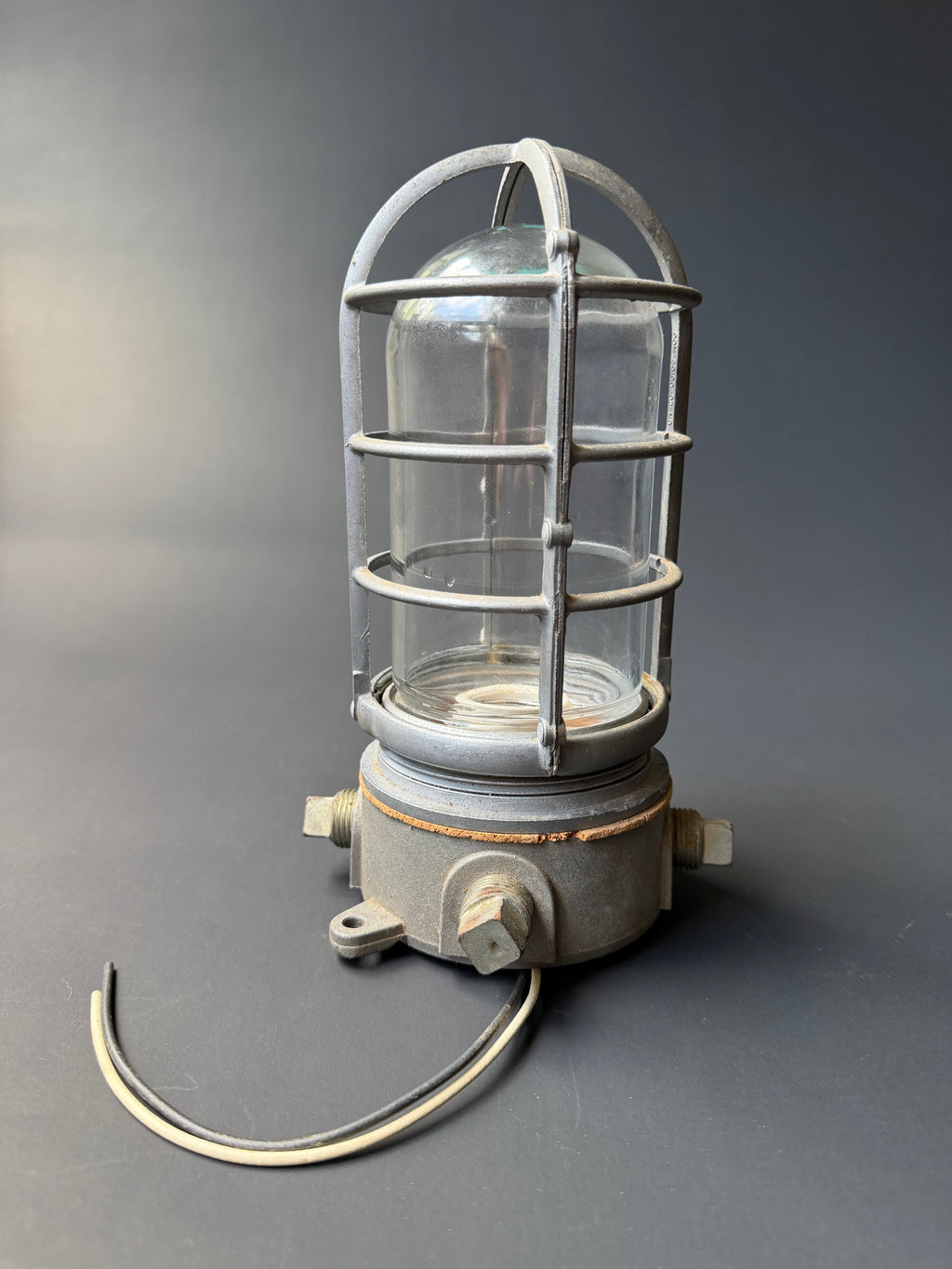 Industrial Cage Light