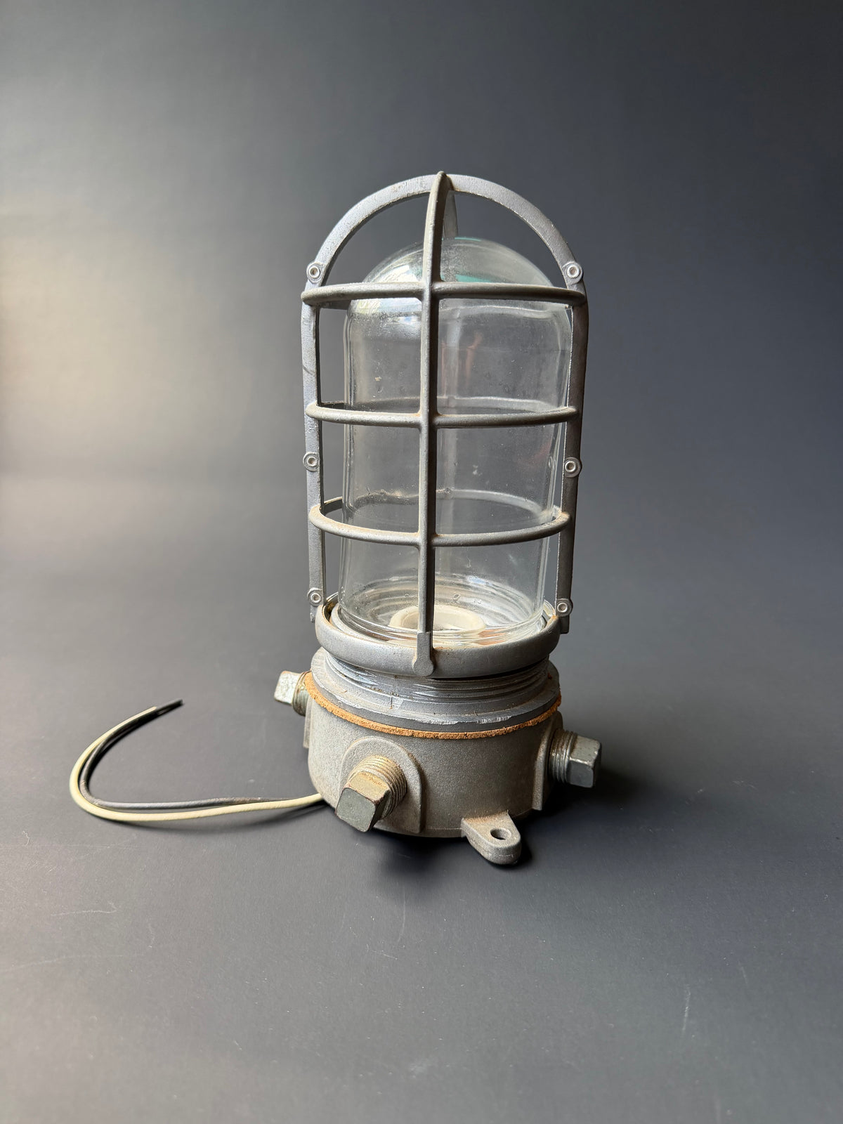Industrial Cage Light