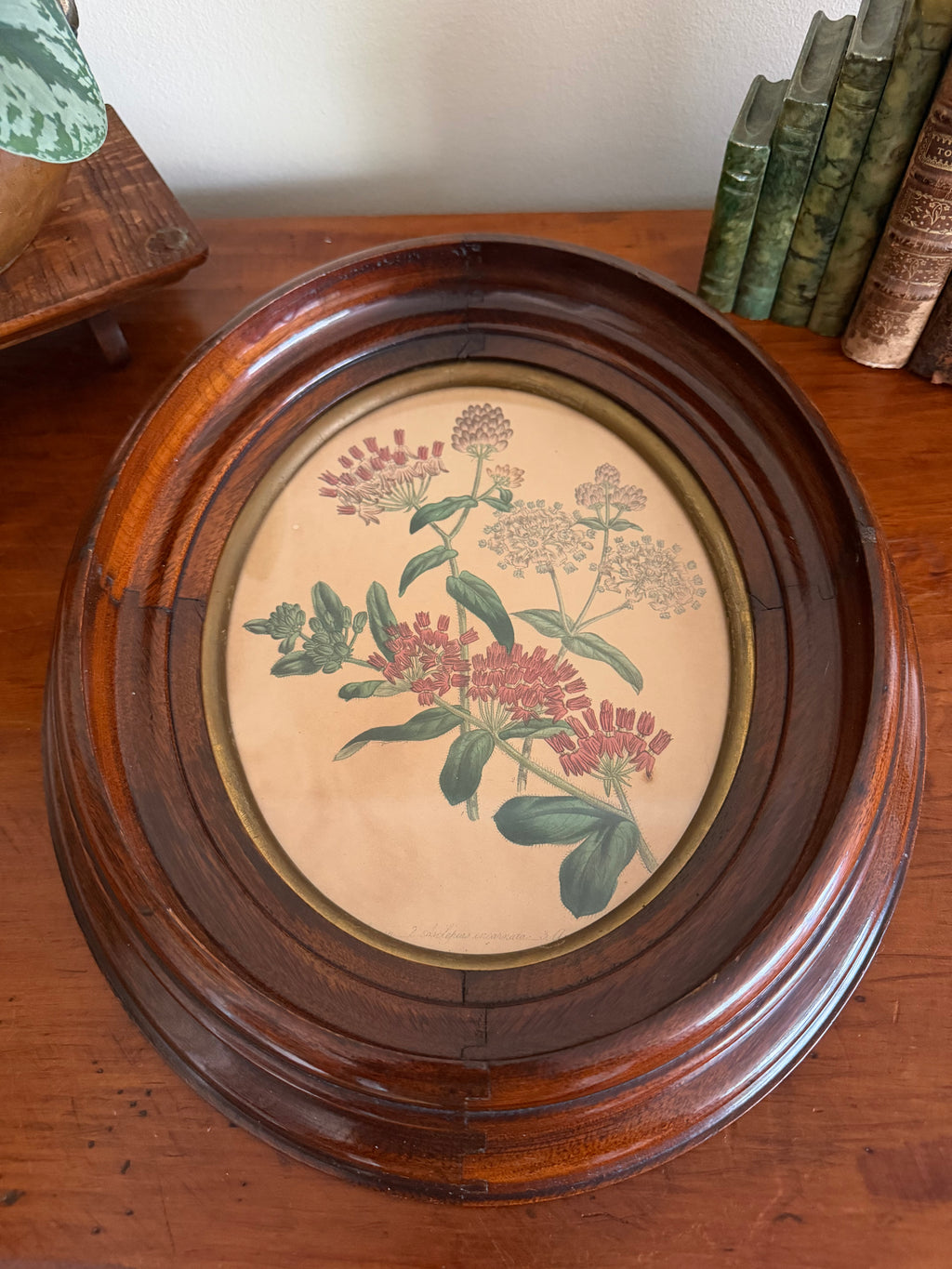 Set of Frames Botanical Art