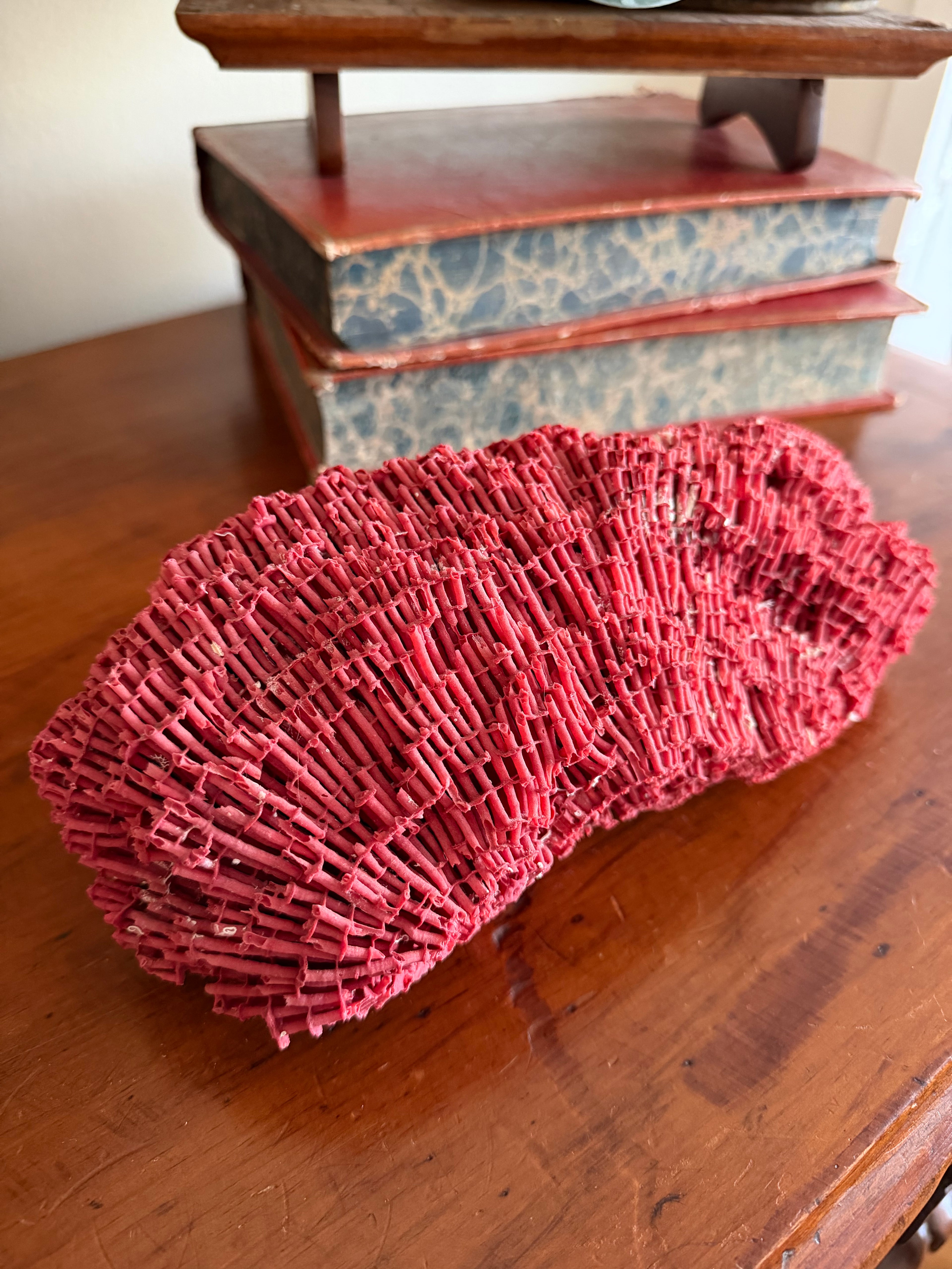 Red Pipe Organ Coral