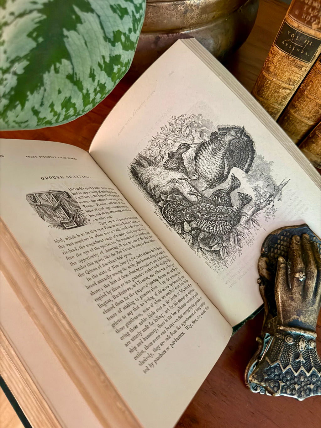 Antique Book: Frank Forest’s Field Sports (1873) Vol 1