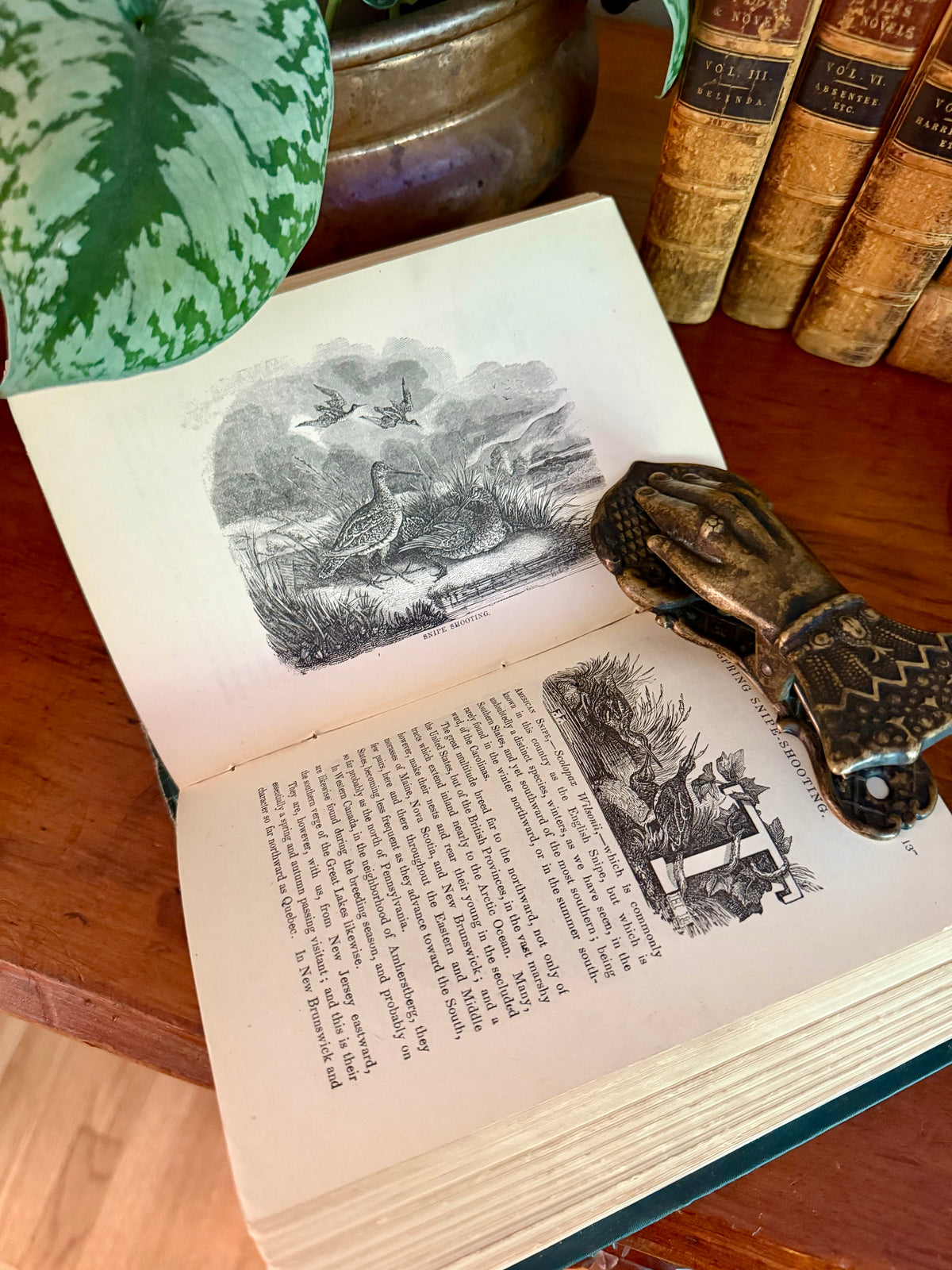 Antique Book: Frank Forest’s Field Sports (1873) Vol 1