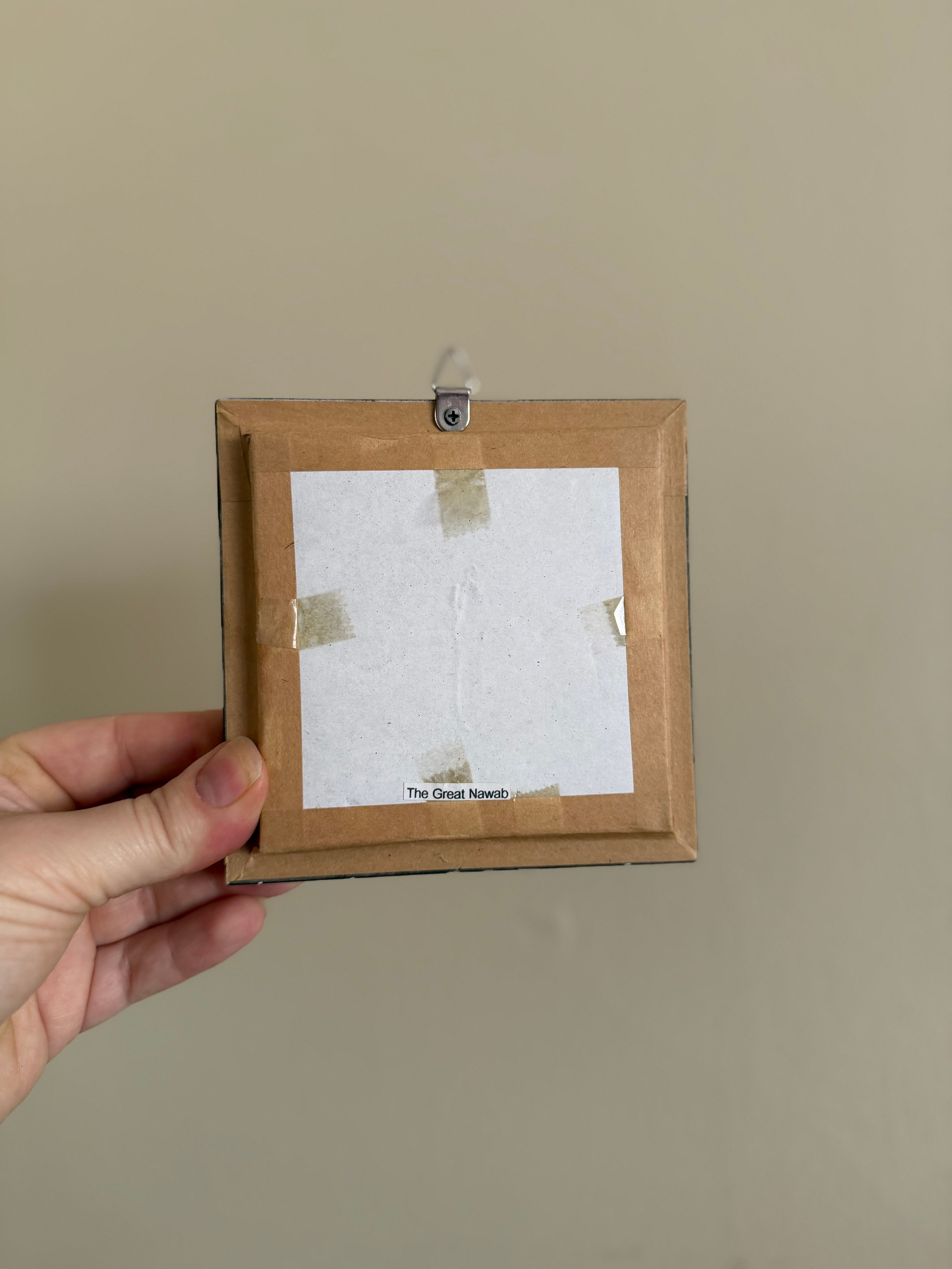 Framed Taxidermy Butterfly