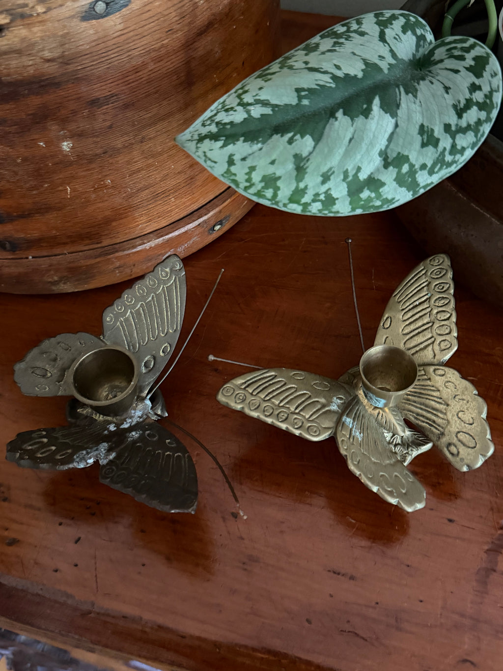 Brass Butterfly Candle Holders
