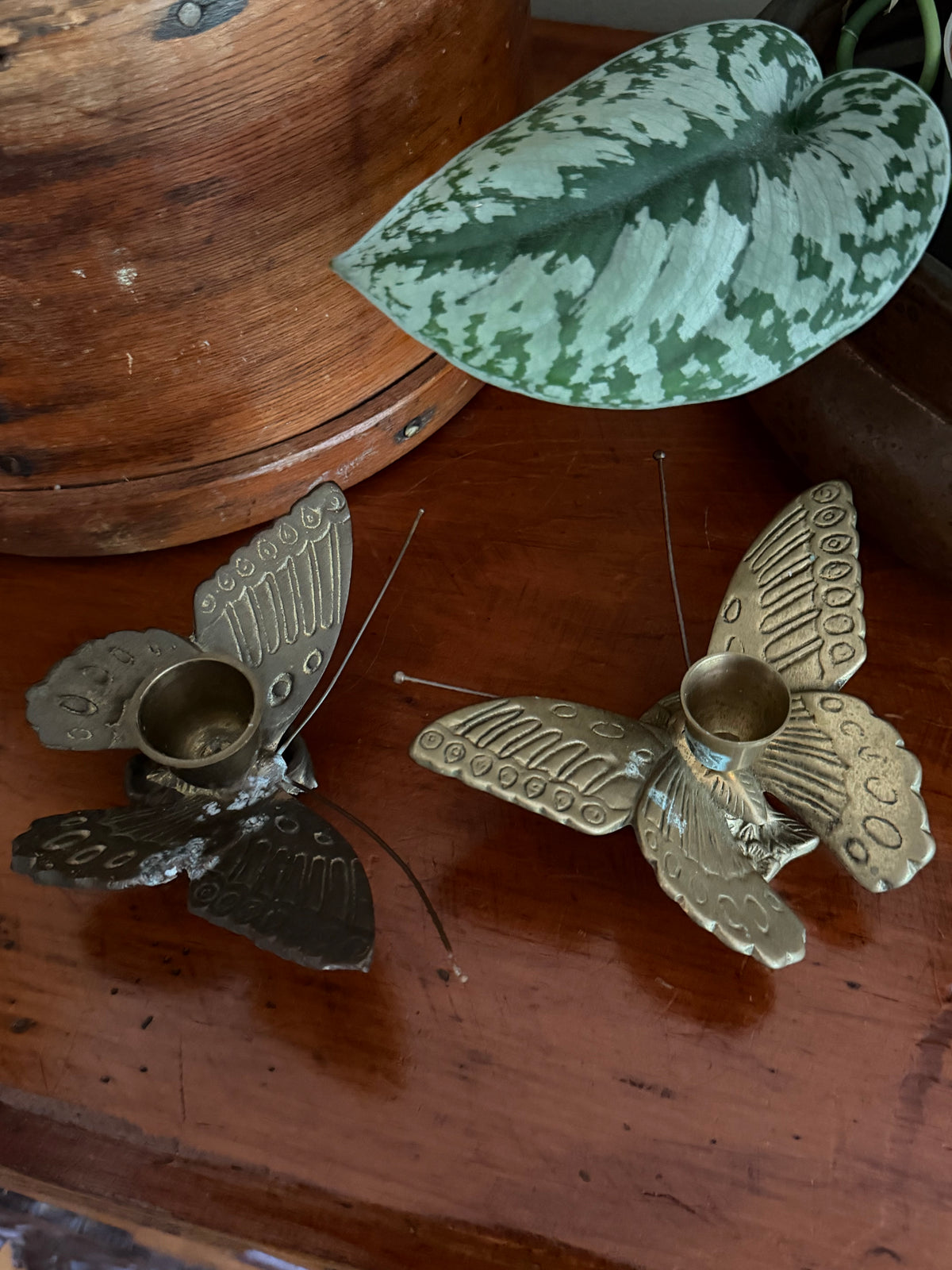 Brass Butterfly Candle Holders