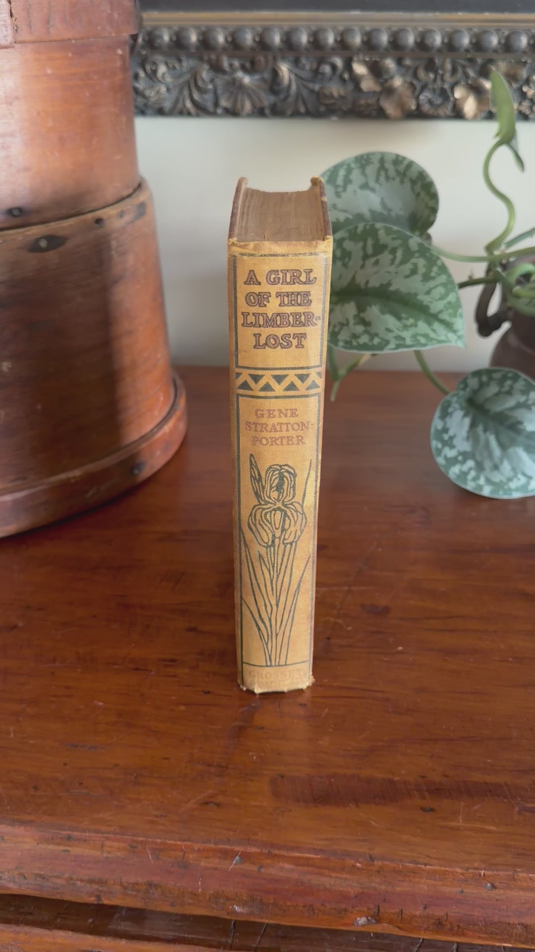 Antique Book: The Girl of the Limberlos